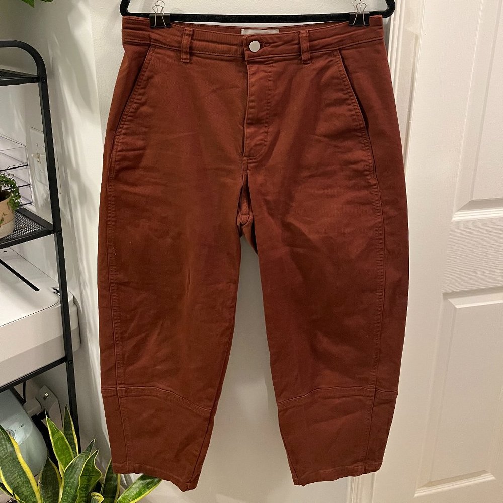 Everlane The Utility Barrel Pant